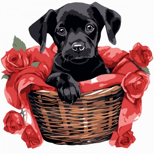 Картина по номерах "Чорне щеня з трояндами" 20х20 см (Strateg)