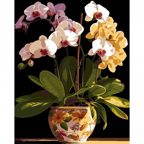 Картина по номерах на чорному фоні "Вазон орхідей" 40х50 см (Strateg)