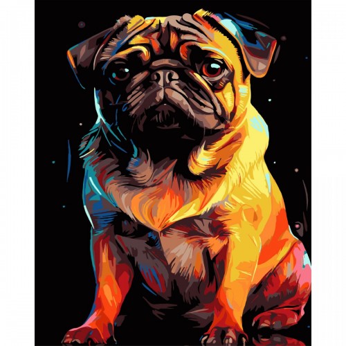 Картина по номерах на чорному фоні "Яскравий мопс" 40х50 см (Strateg)