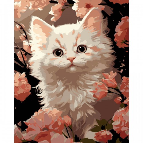 Картина по номерах на чорному фоні "Біле кошеня" 40х50 см (Strateg)