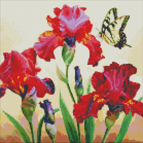 Алмазная мозаика "Изысканные ирисы" (Ідейка)