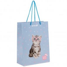 Пакет бумажный подарочный, 18х24см, SP