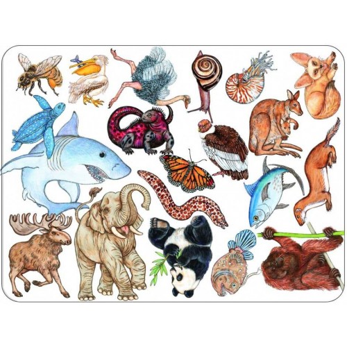 Игра настольная карточная детская "Занималка" (Djeco)