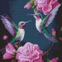 Алмазная мозаика "Сказочные птицы" 40х40 см (Ідейка)