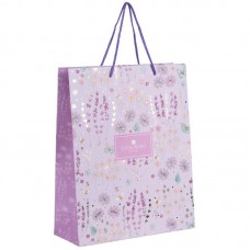 Пакет бумажный подарочный, 26х32см, TR, Morning Dew 1