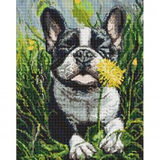 Алмазна мозаїка 