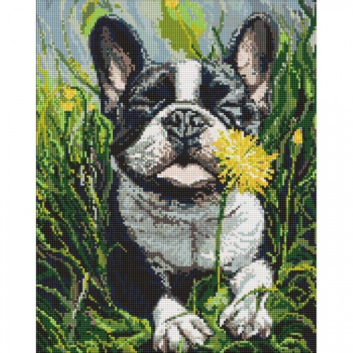 Алмазна мозаїка "Пес і кульбаба" 40х50 см (Ідейка)