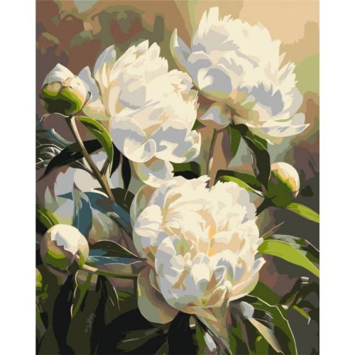 Картина за номерами "Гармонія півоній" 40х50 см (Origami)