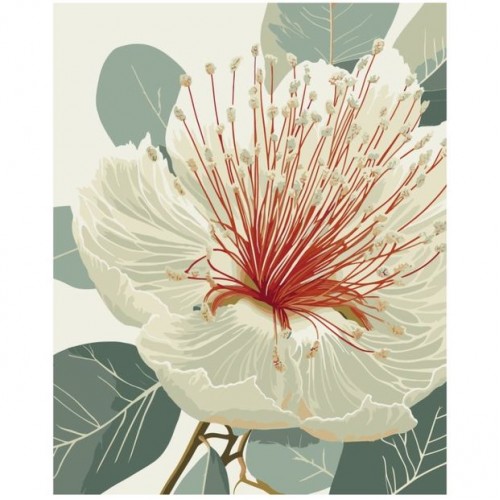 Картина за номерами "Квітучий евкаліпт" 40х50 см (art craft)