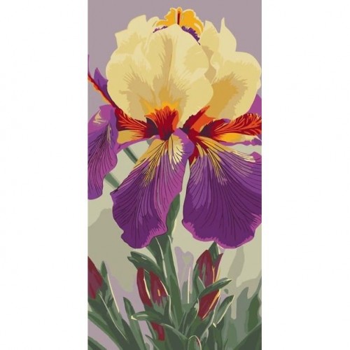 Картина за номерами "Ірис Карнівал Каперс" 40х80 см (art craft)