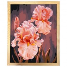 Картина по номерам с багетной рамкой 