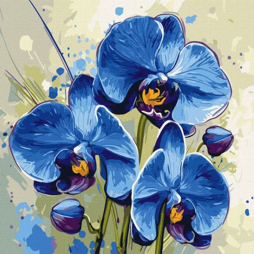 Картина по номерам "Нежная орхидея" 40х40 см (Ідейка)