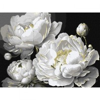 Картина по номерам с красками металлик 