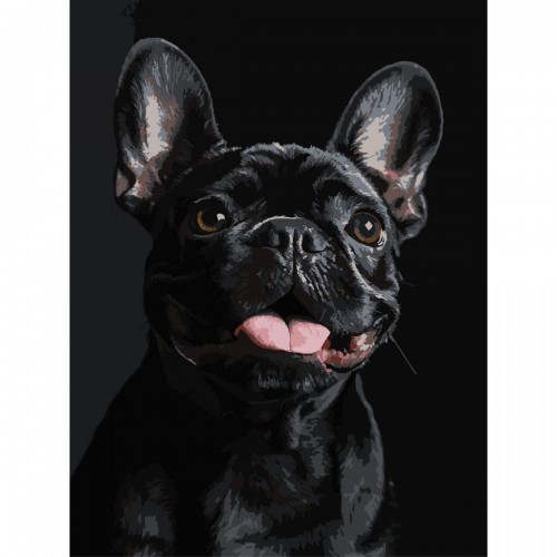 Картина по номерах на чорному фоні "Французький чорний бульдог" 30х40 см (Strateg)