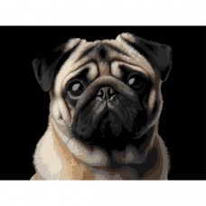 Картина по номерах на чорному фоні 