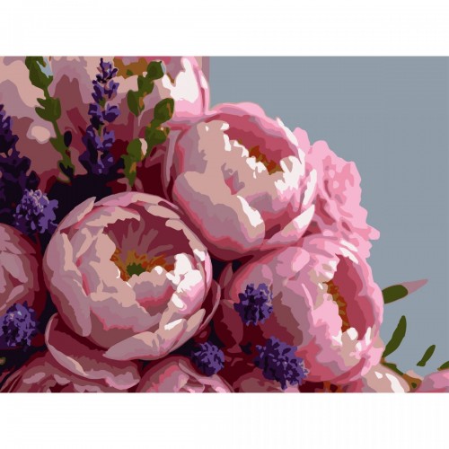 Картина по номерах "Пишні півонії" 30х40 см (Strateg)