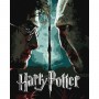 Картина за номерами з фарбами металік "Harry Potter: Гаррі та Волдеморт" 40х50см (Ідейка)