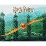 Картина за номерами з фарбами металік "Harry Potter: Золотий Снітч" 40х50см (Ідейка)