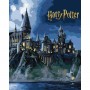 Картина за номерами з фарбами металік "Harry Potter: Гоґвортс вночі" 40х50см (Ідейка)