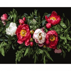 Картина по номерах на чорному фоні 