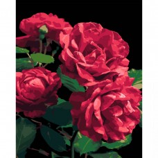 Картина по номерах на чорному фоні 