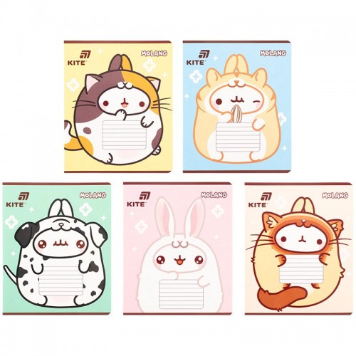 Тетрадь 18 л., кл., фольга + УФ лак, ML (Kite)