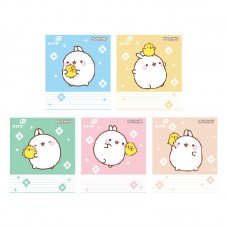 Тетрадь 18 л., лин., софт-тач + УФ лак, ML