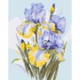 Алмазна мозаїка "Букет ірисів" 40*50 см (Origami)