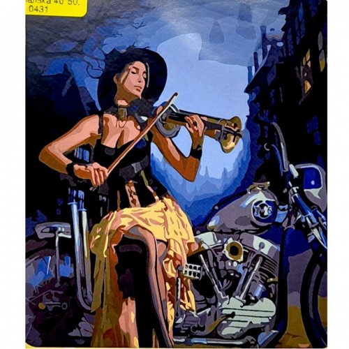 Картина по номерам "Мотоскрипалька" 40*50 см (Оптифрост)