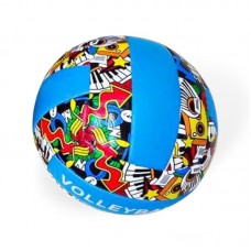 Мʼяч волейбольний 