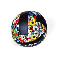 Мяч волейбольный 