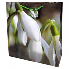 Пакет бумажный 35х37х12 см