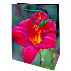 Пакет бумажный 5 шт в упаковке 18х23х10 см