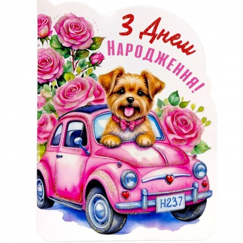 Листівка вітальна (набір 10 шт) (FIESTA)