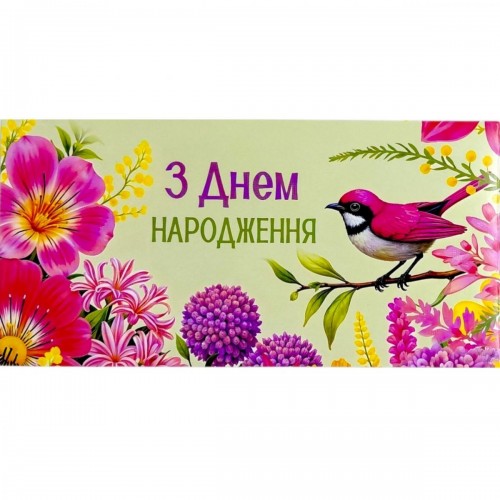 Конверт поздравительный (для денег) набор 10 шт (FIESTA)