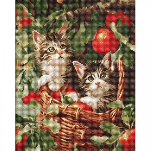 Алмазна мозаїка "Коти у кошику" 40х50 см (Ідейка)