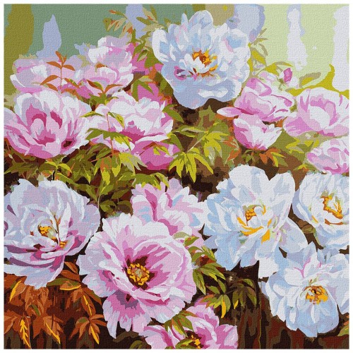 Картина по номерам "Разнообразие пионов" ★★★★ (Ідейка)
