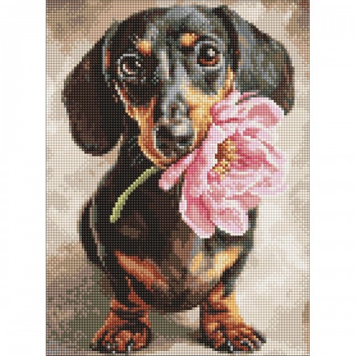 Набор с алмазной мозаикой "Песик и сюрприз" 30х40см (Ідейка)