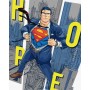 Картина по номерам - Superman \ Супермен: Hope © Warner Bros. (Ideyka)
