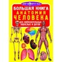 Книга "Большая книга. Анатомия человека" (рус) (Crystal Book)