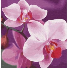 Картина по номерам "Волшебная орхидея" ★★★