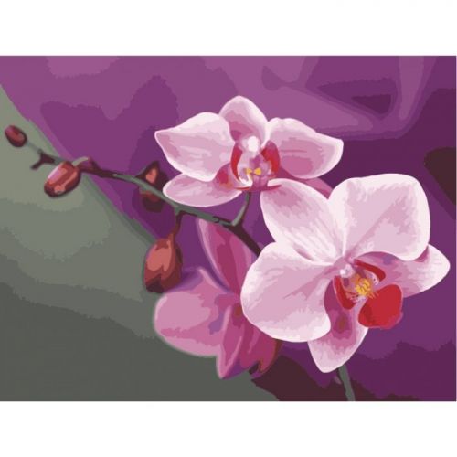 Уценка. Картина по номерам "Розовые орхидеи" - грязные углы (Идейка)