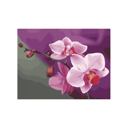 Картина по номерам "Розовые орхидеи" (Идейка)