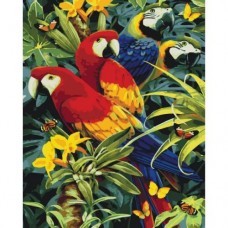 Картина по номерам "Разноцветные попугаи"