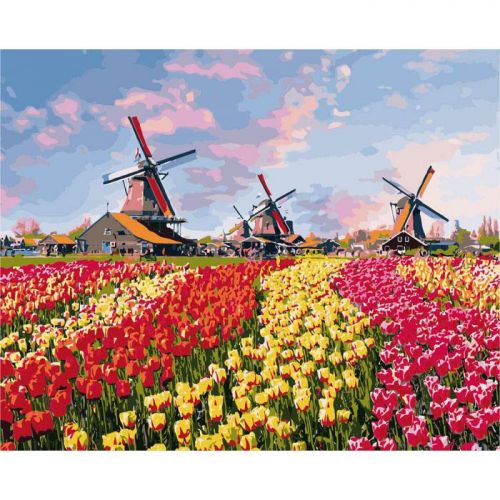 Картина по номерам "Красочные тюльпаны Голландии" ★★★★ (Идейка)