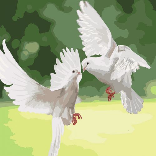 Картина по номерам "Белоснежные голуби" ★★★ (Ідейка)