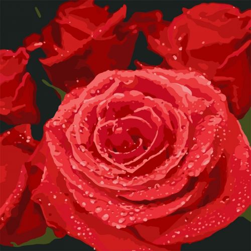 Картина по номерам "Красные розы" ★★★★ (Идейка)