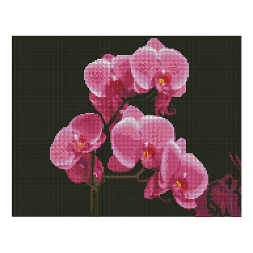 Алмазна мозаїка "Рожеві орхідеї" (Strateg)
