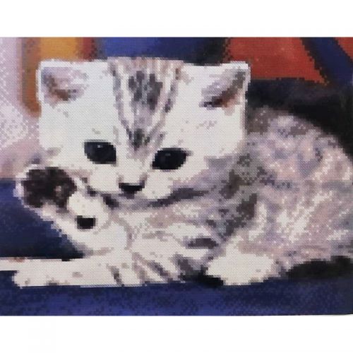 Алмазна мозаїка "Маленьке кошеня" (Strateg)