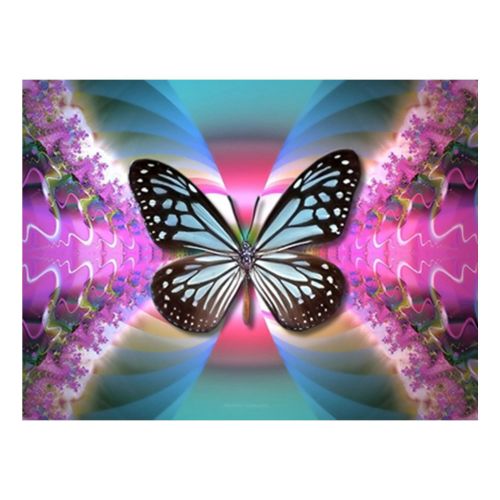 Алмазна мозаїка "Метелики" (MiC)